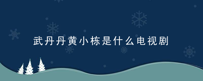 武丹丹黄小栋是什么电视剧 小栋和丹丹是哪个电视剧的